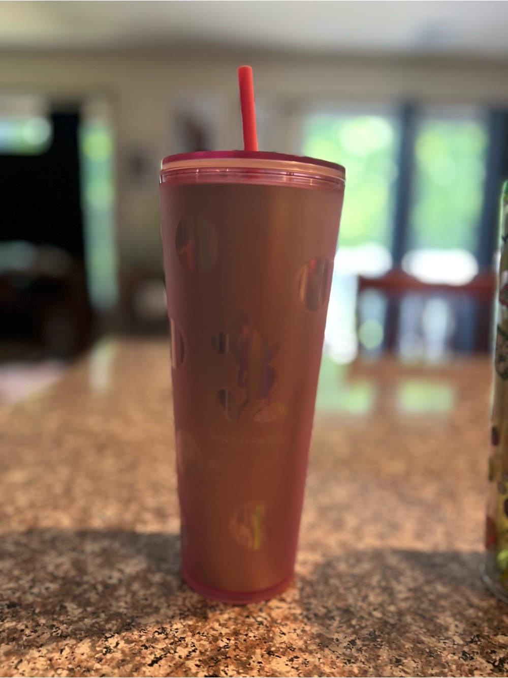 Starbucks Pink Iridescent Dot Tumbler with Straw